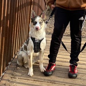 Meet your Posher, Diego